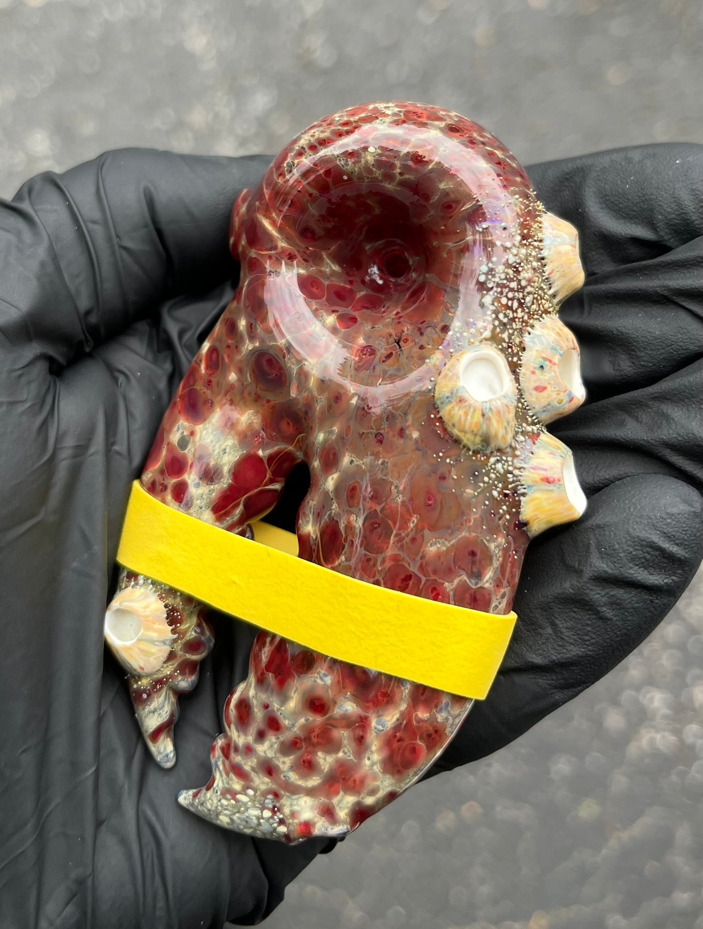MrsClawsMaine Lobster Claw with barnacles