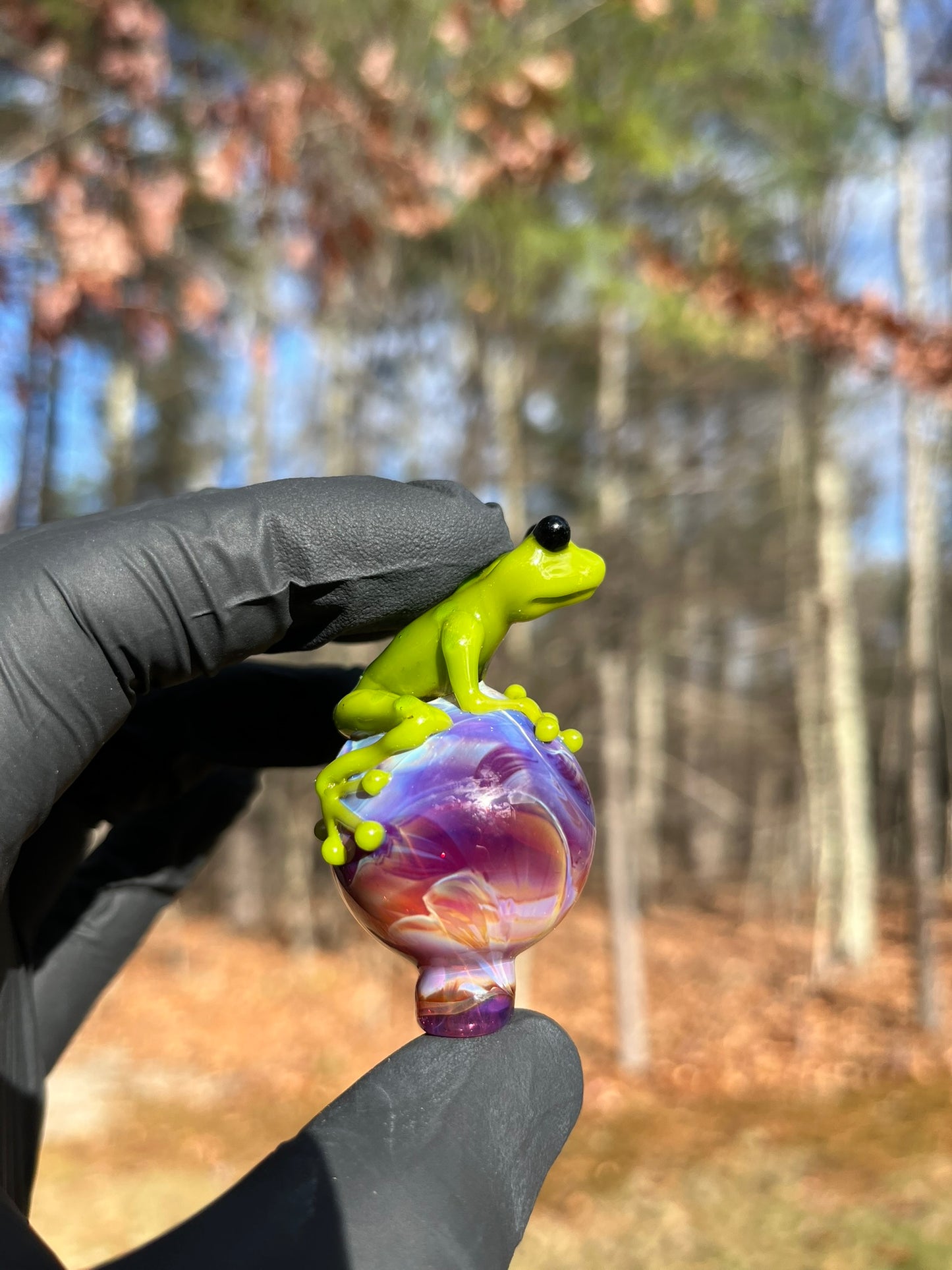 StoneyChicken Carb Cap #4