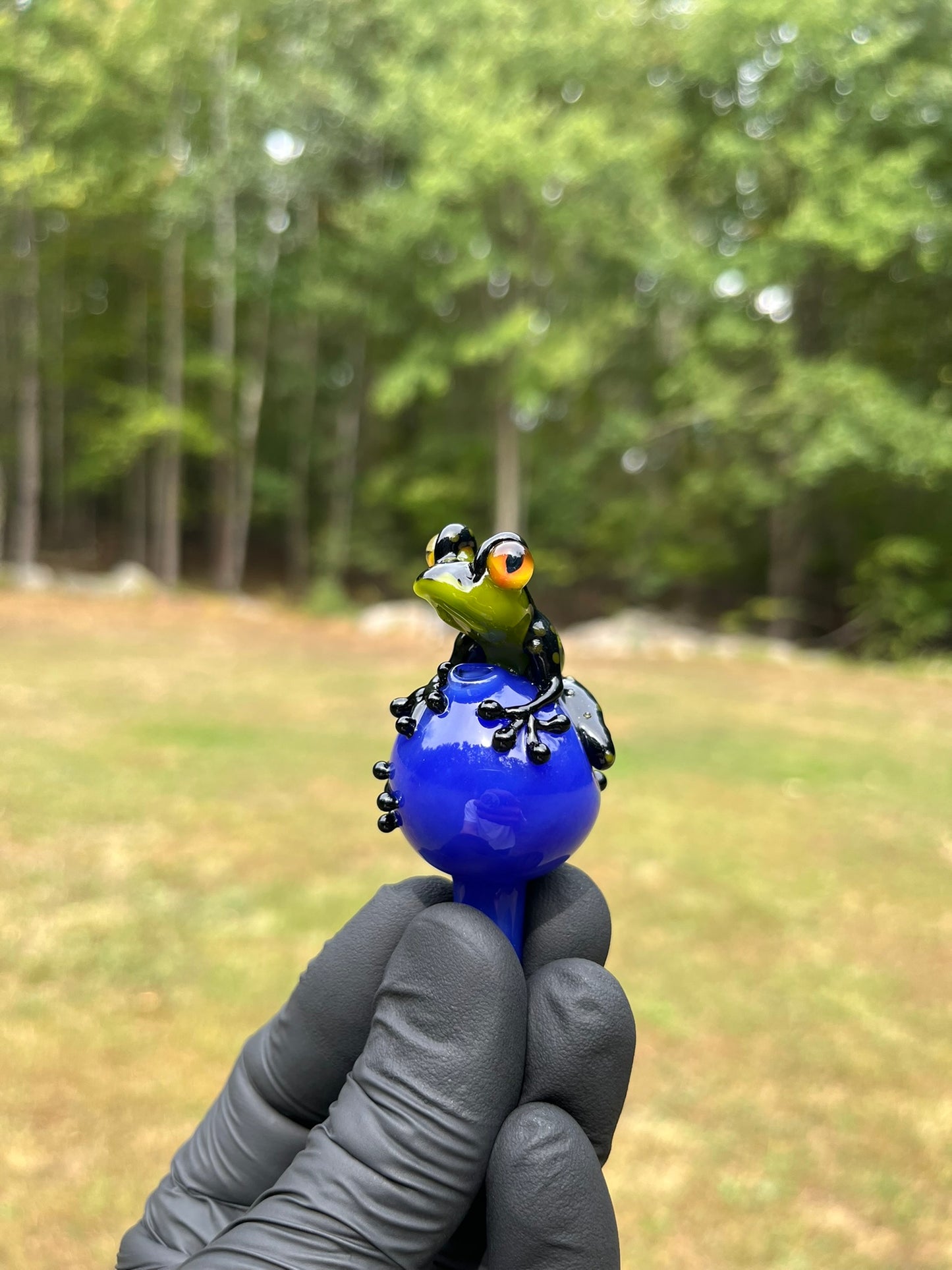 StoneyChicken Carb Cap #3