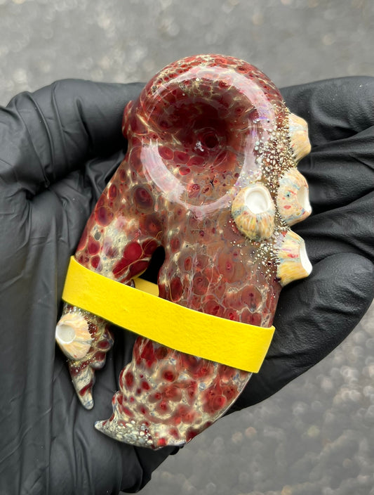 MrsClawsMaine Lobster Claw with barnacles