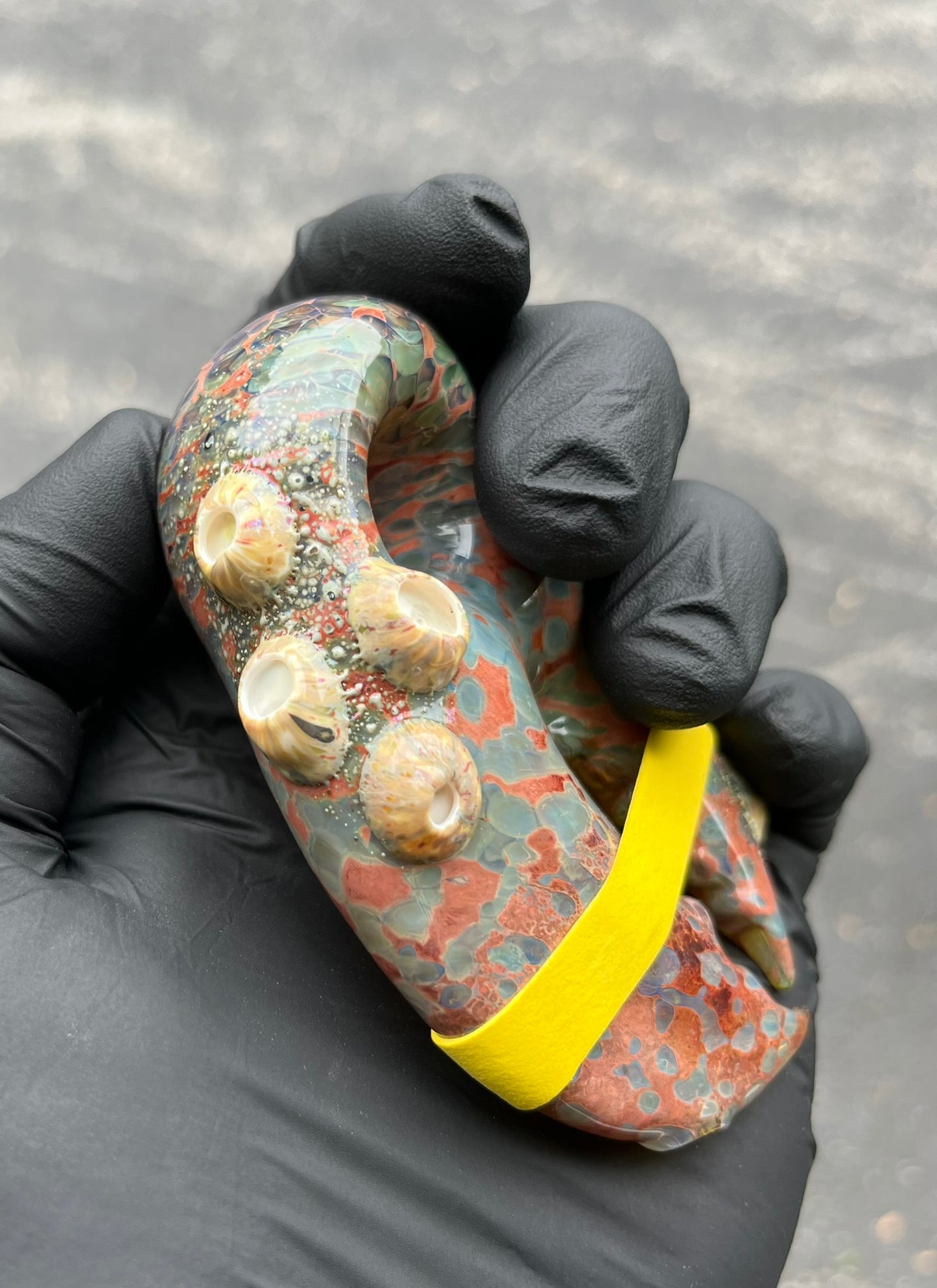 MrsClawsMaine Lobster claw with barnacles