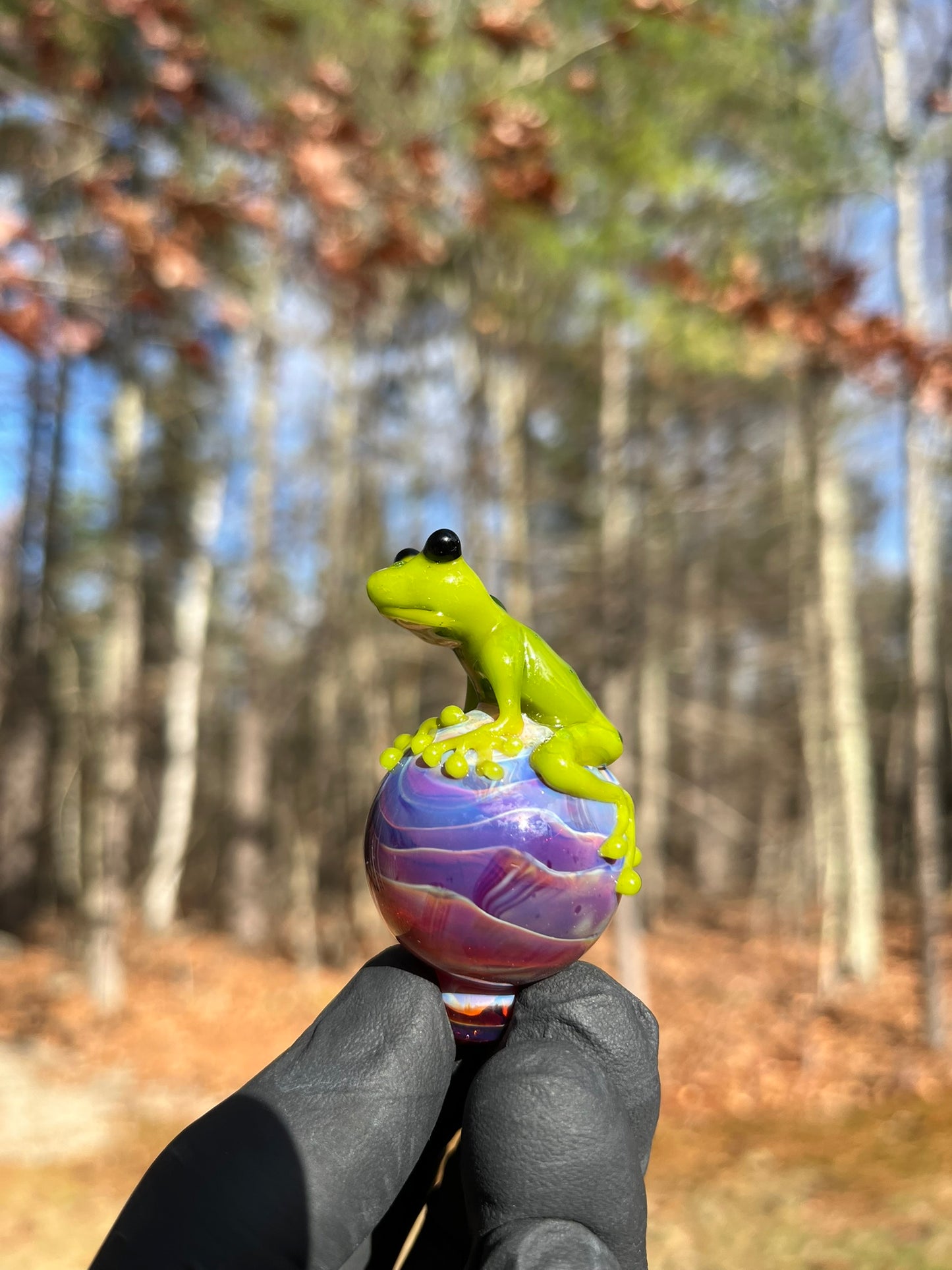 StoneyChicken Carb Cap #4