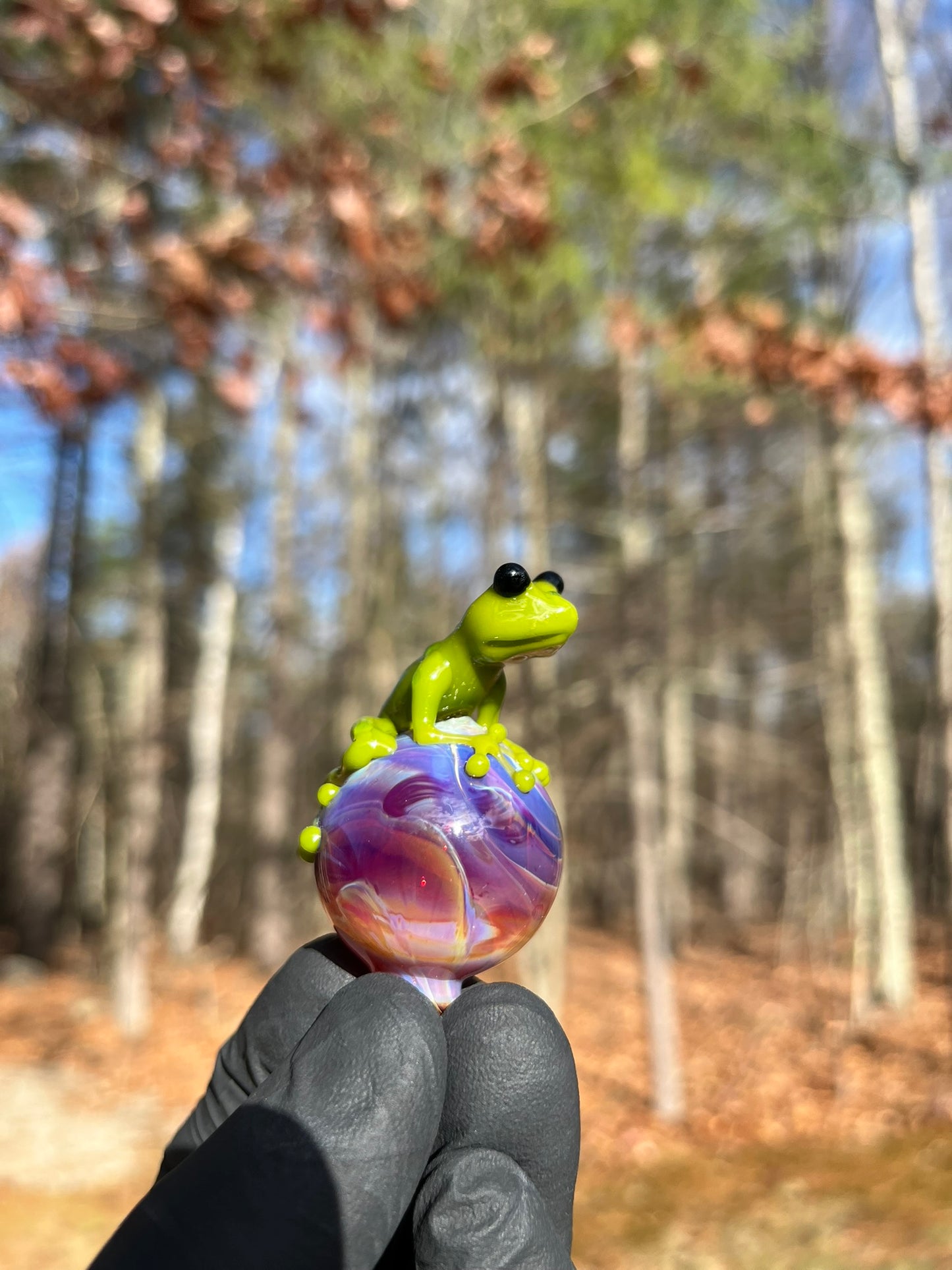 StoneyChicken Carb Cap #4