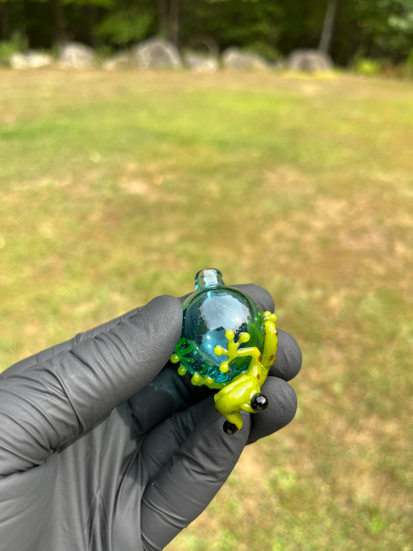 StoneyChicken Carb Cap #1
