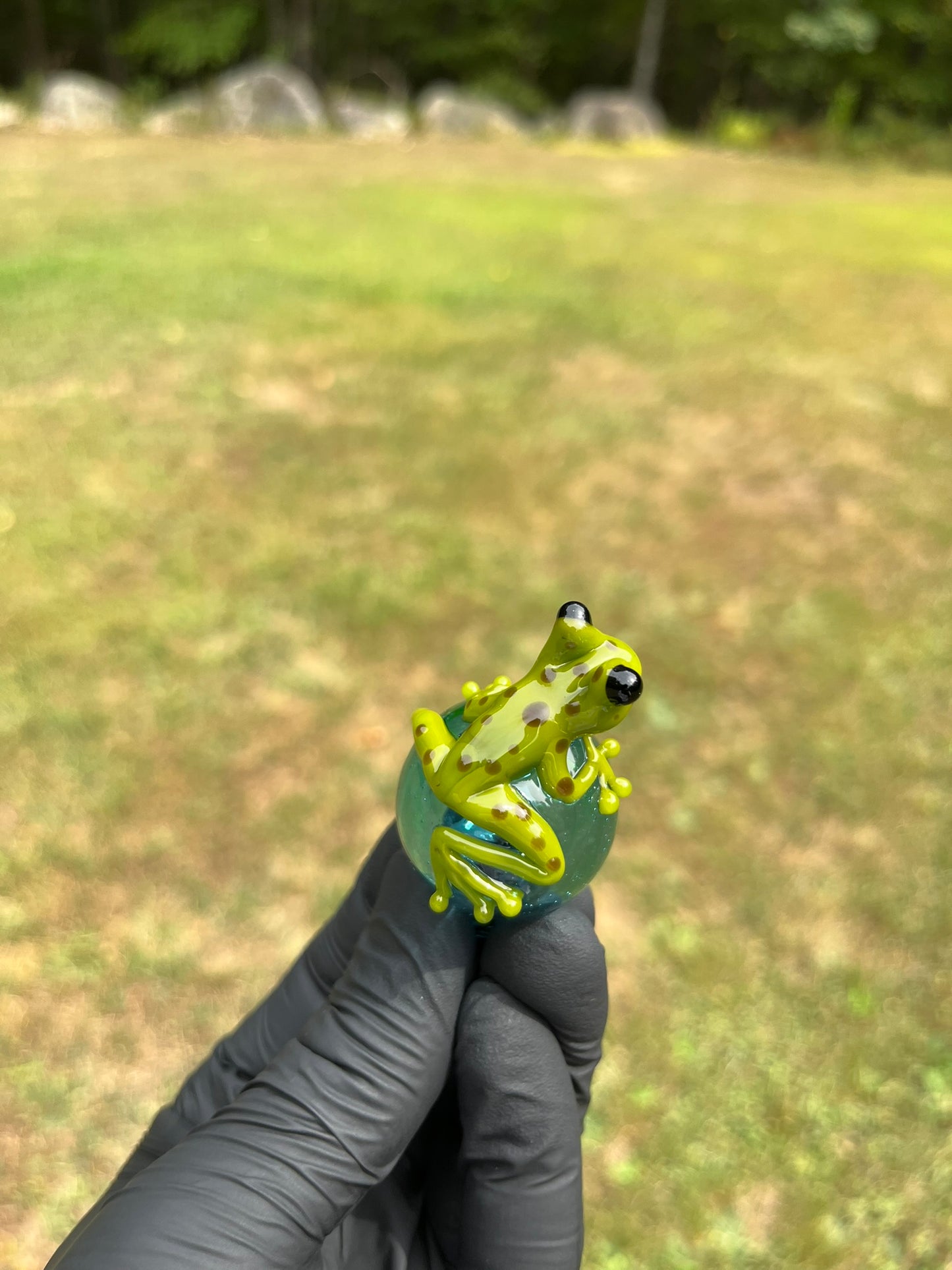 StoneyChicken Carb Cap #1