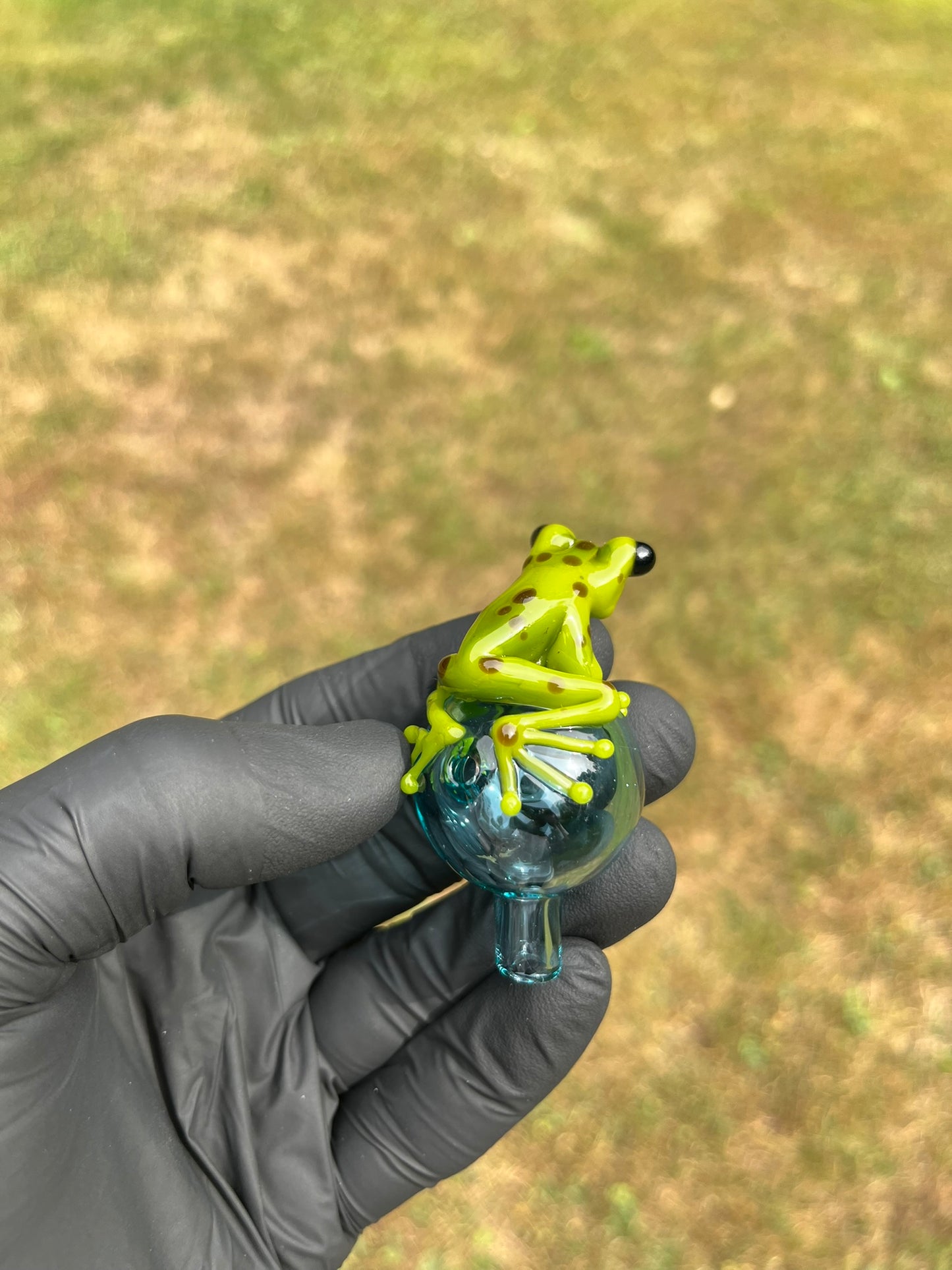 StoneyChicken Carb Cap #2
